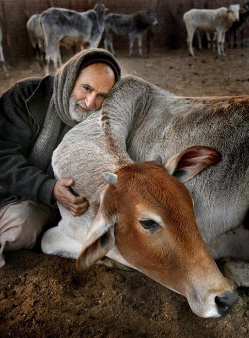 His Grace Kurma Rupa Dasa, the mentor of Dakshin Vrindavan