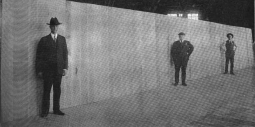 Haskelite panel,  is largest plywood panel ever made in the world