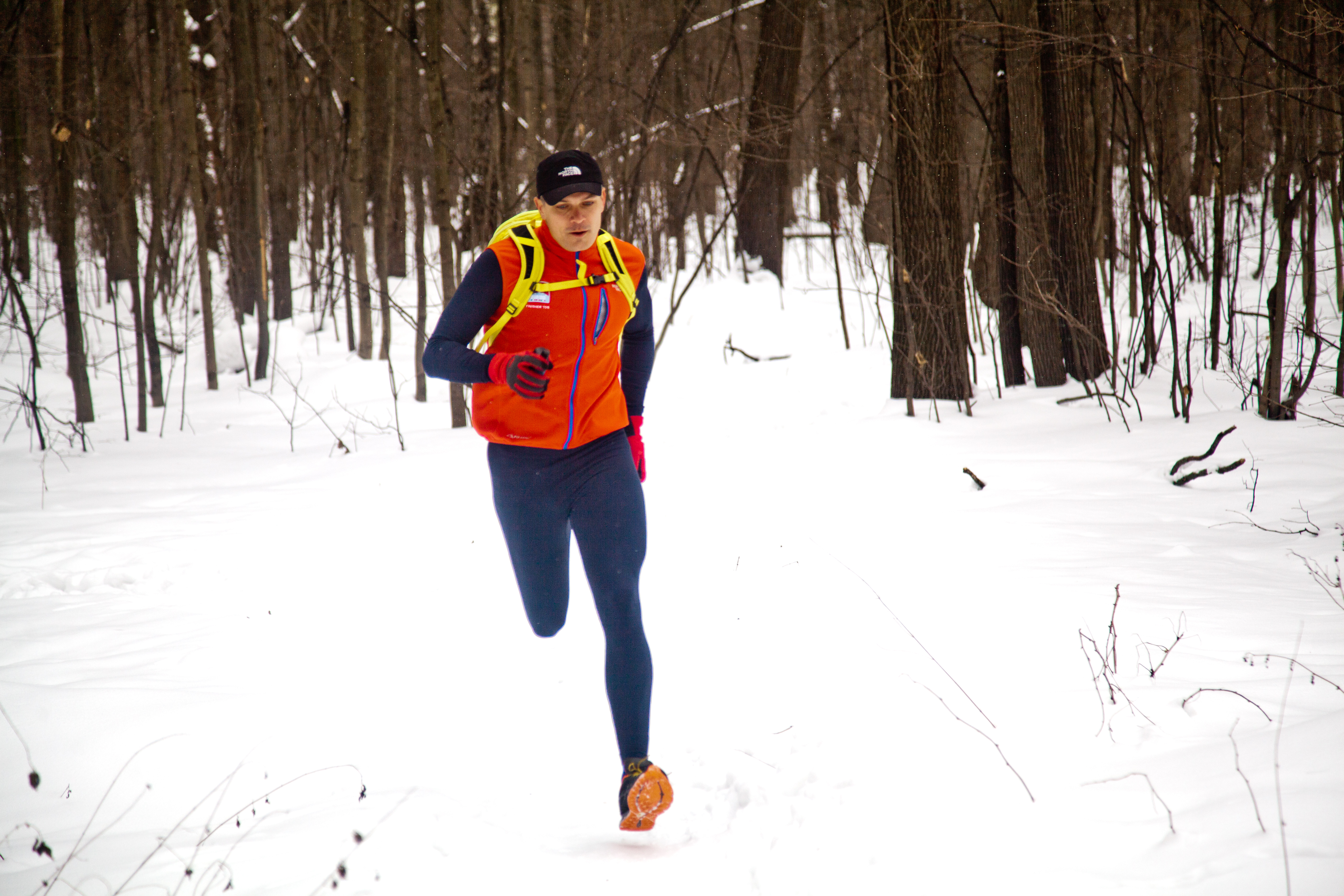 Dmitry Erokhin's workout in Losiny Ostrov National Park, February 2017