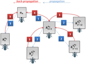 Propagation and backpropagation mechanisms in PB-DNA