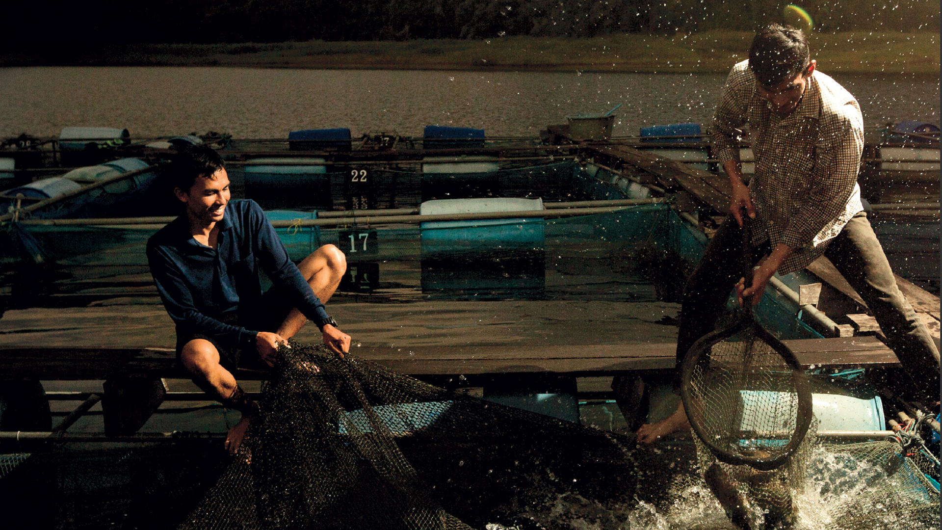 Fisheries, Huai Hong Khrai Royal Development Study Centre Fisheries, Huai Hong Khrai Royal Development Study Centre