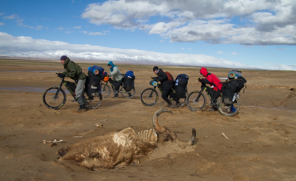 Tibet, 2014.