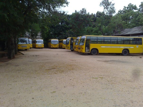 The Bus Bay