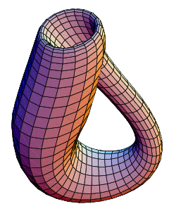 The Klein bottle immersed in three-dimensional space.