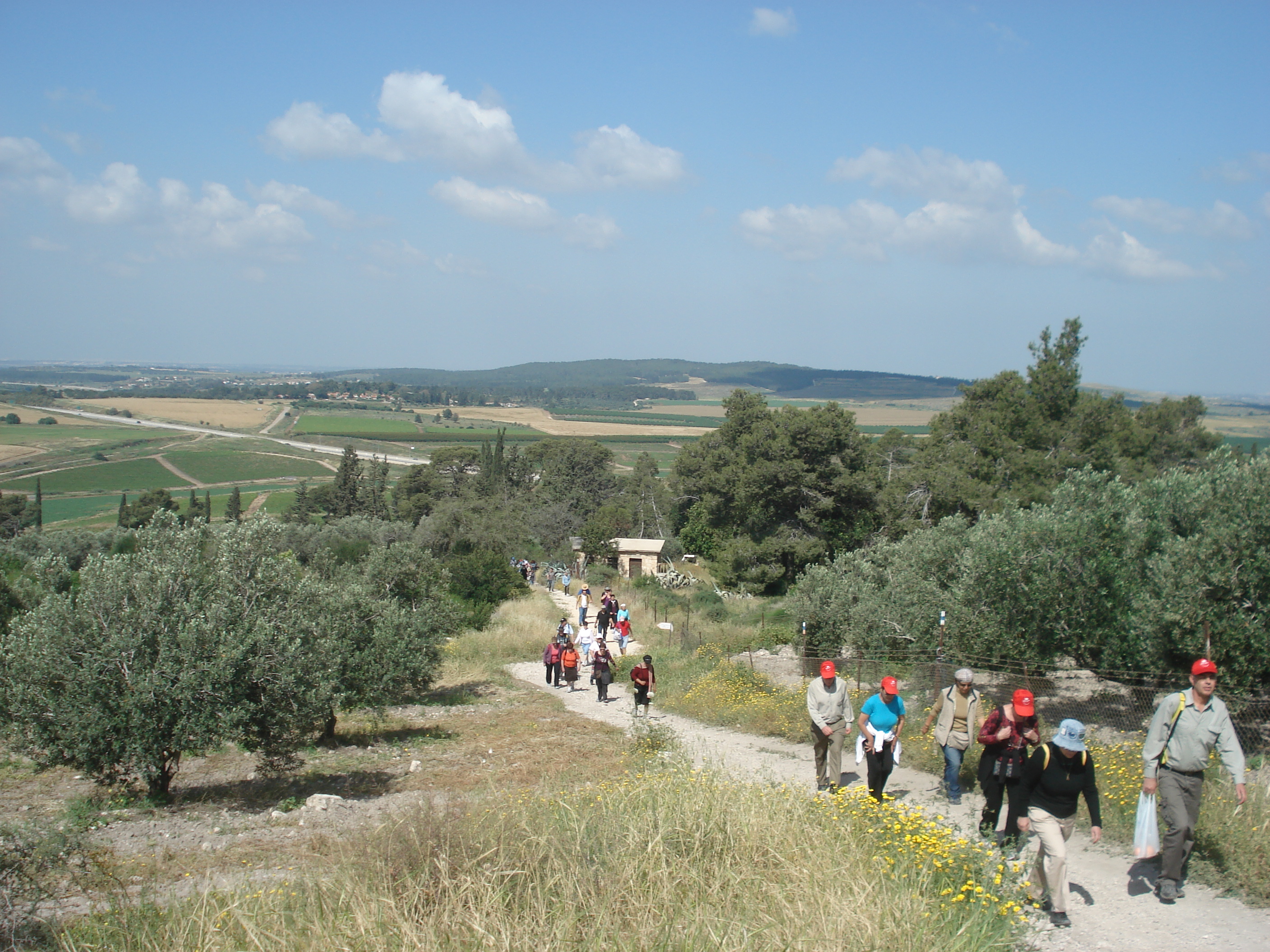 landscape of the ayalon valley, pictured in the societi's excursion to latrun landscape of the ayalon valley, pictured in the societi's excursion to latrun