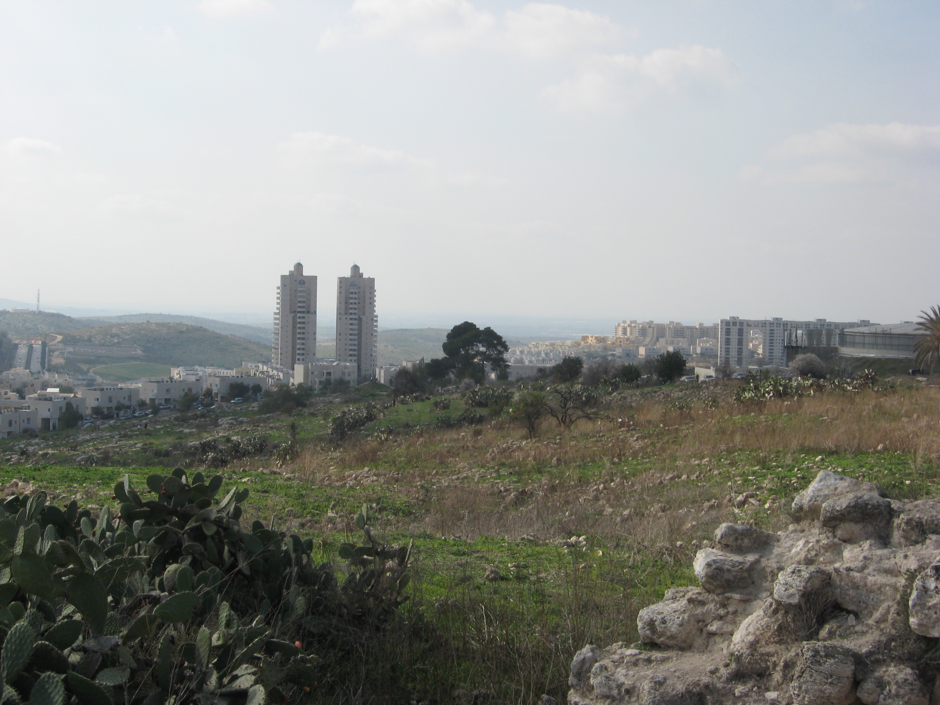 landscape of the city from 'titora' hill landscape of the city from 'titora' hill