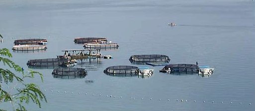 Maitum fish cages