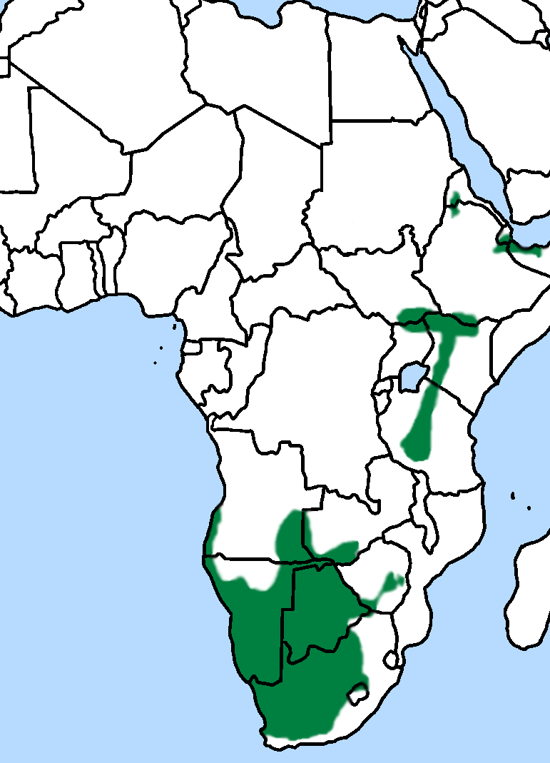 Greater Kestrel distribution