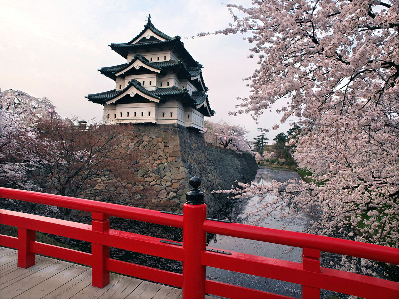 Hirosaki Castle and cherry blossoms