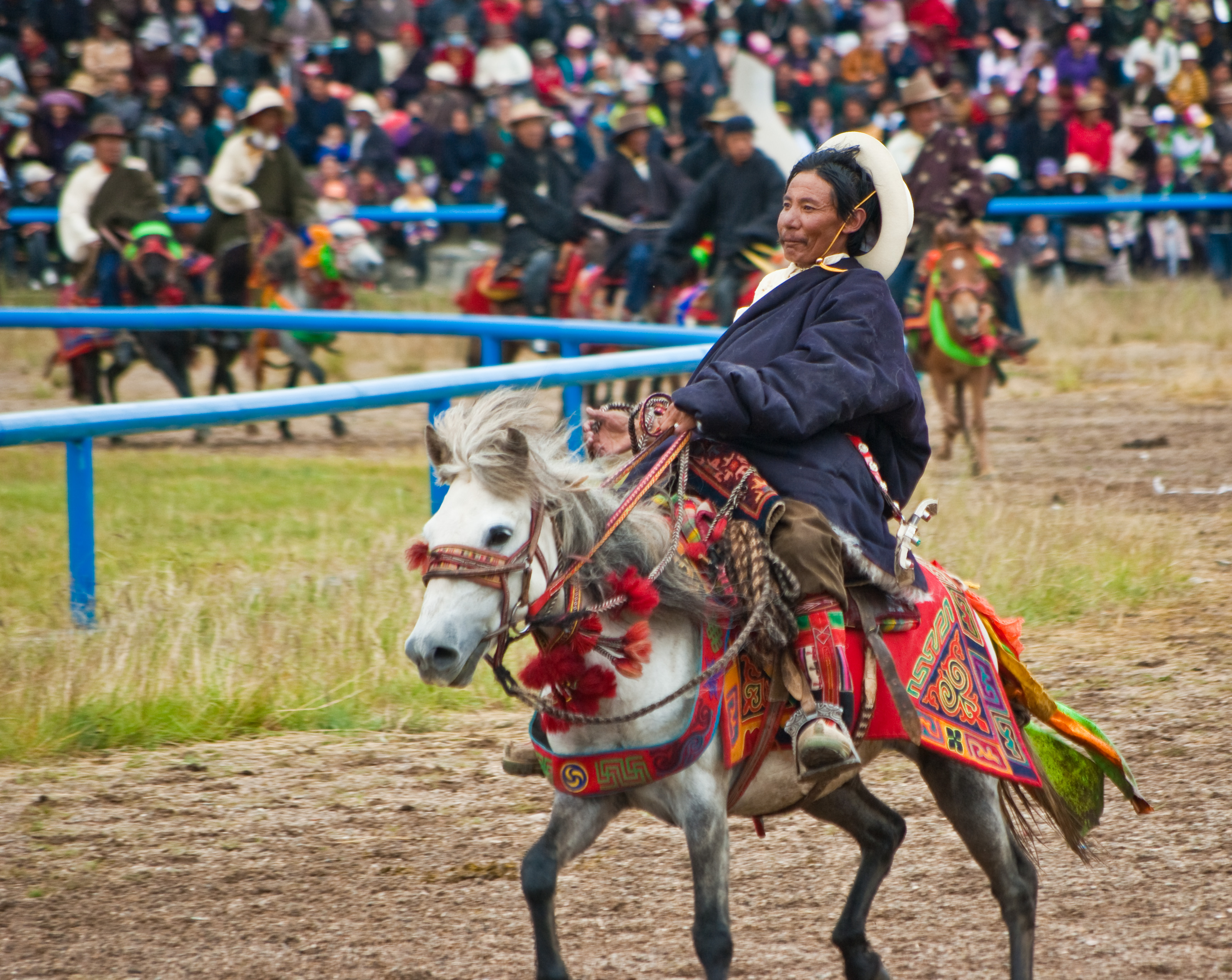 Horse Racing in Festival|thumb|right|230px