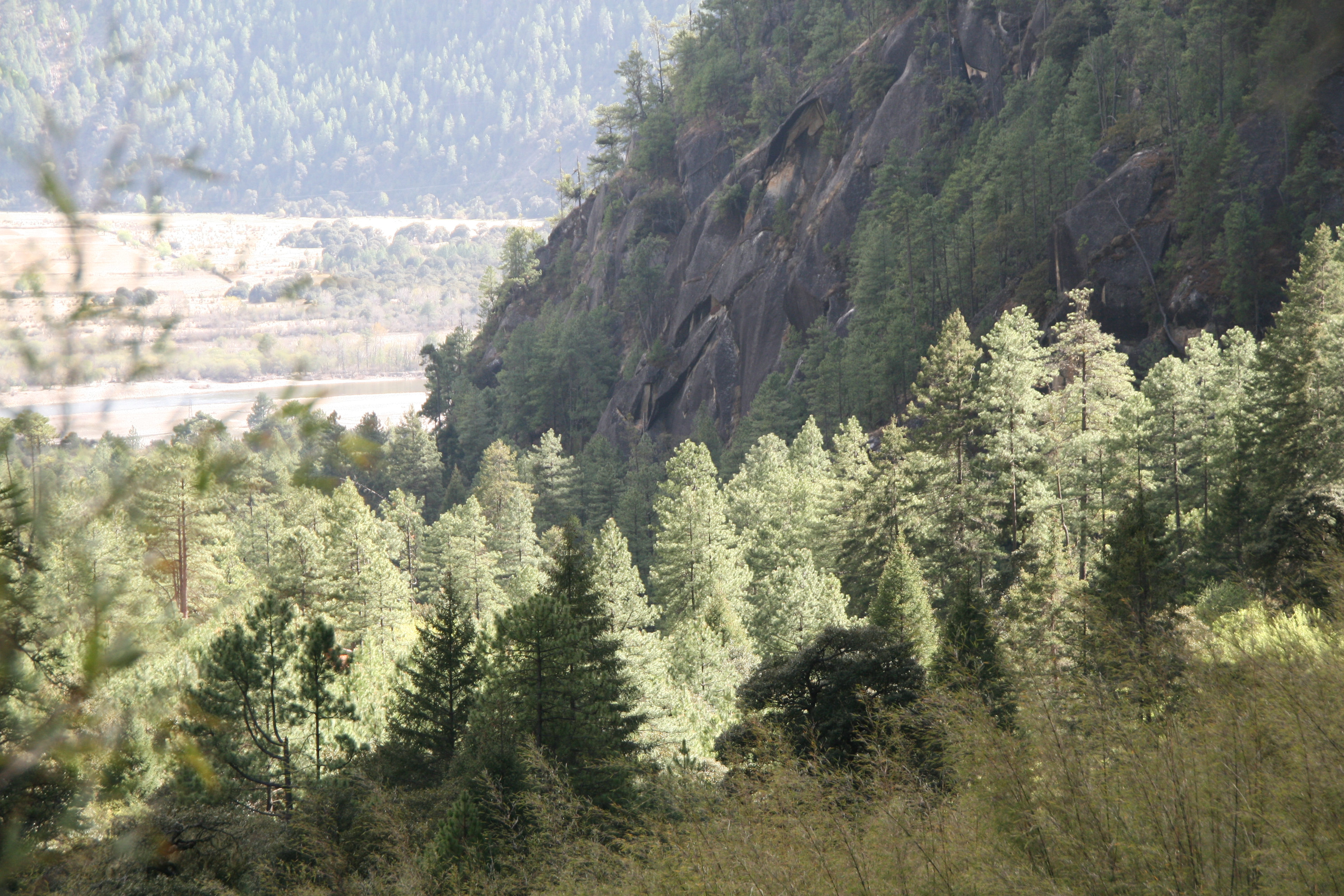 Kading Valley