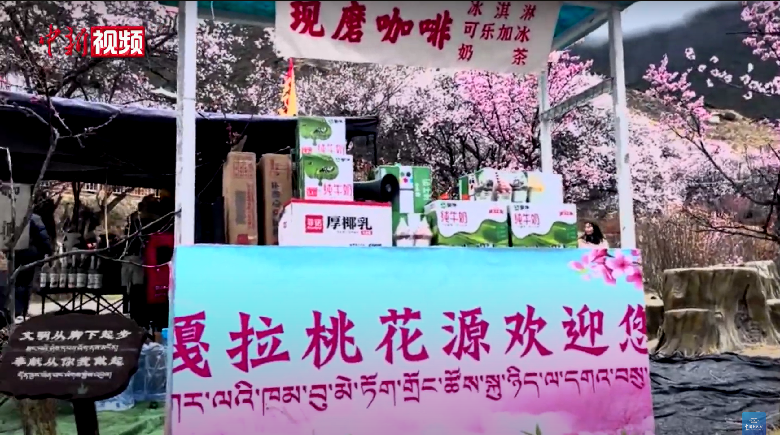 2024 Nyingchi Peach Blossom Festival