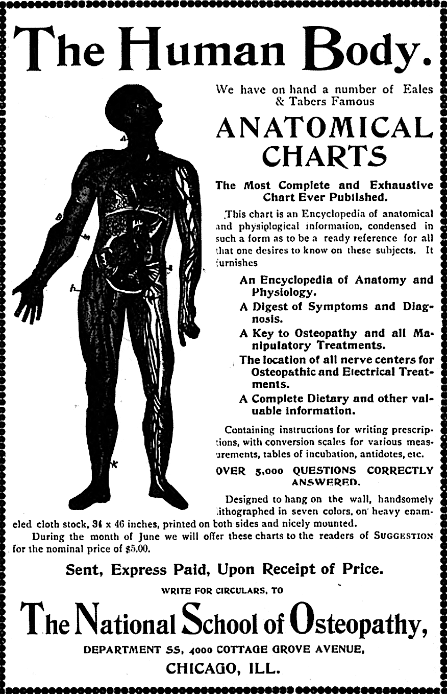 /images/wiki/496416/190c10dfa414736df827858391daa254.png