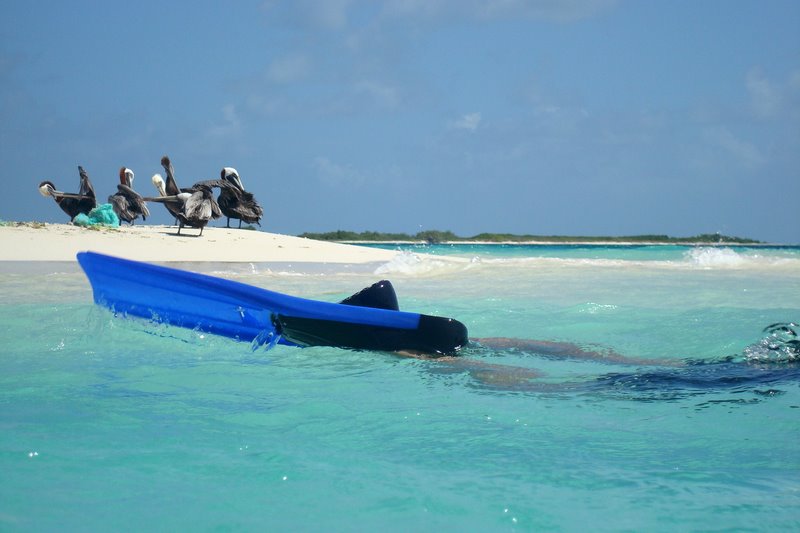 Madrisquí Island, Los Roques Madrisquí Island, Los Roques