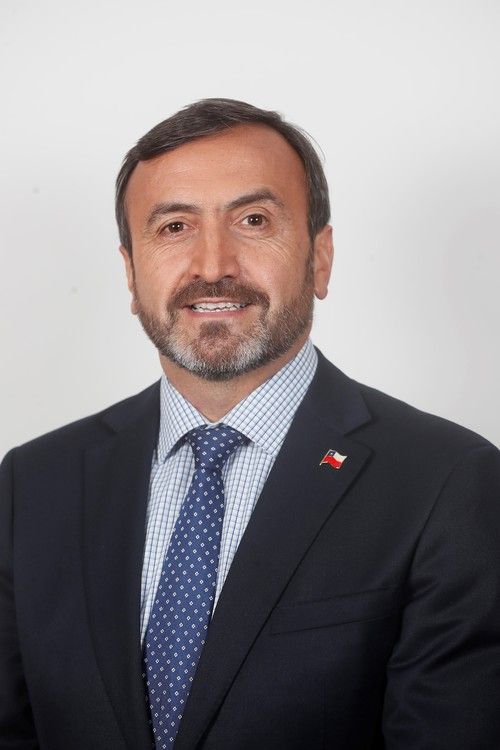 Francisco Pulgar Castillo
