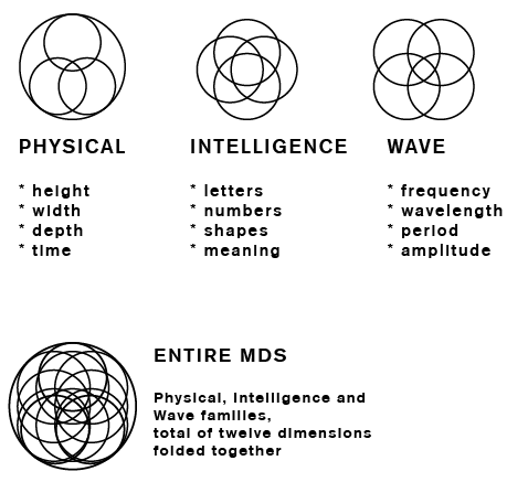 Families and Dimensions in MultiSpace