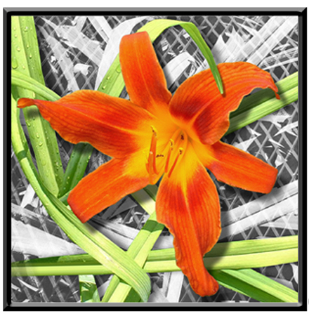 Bennett Graham Flower Power Bennett Graham Flower Power