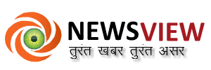 Newsview Media Logo