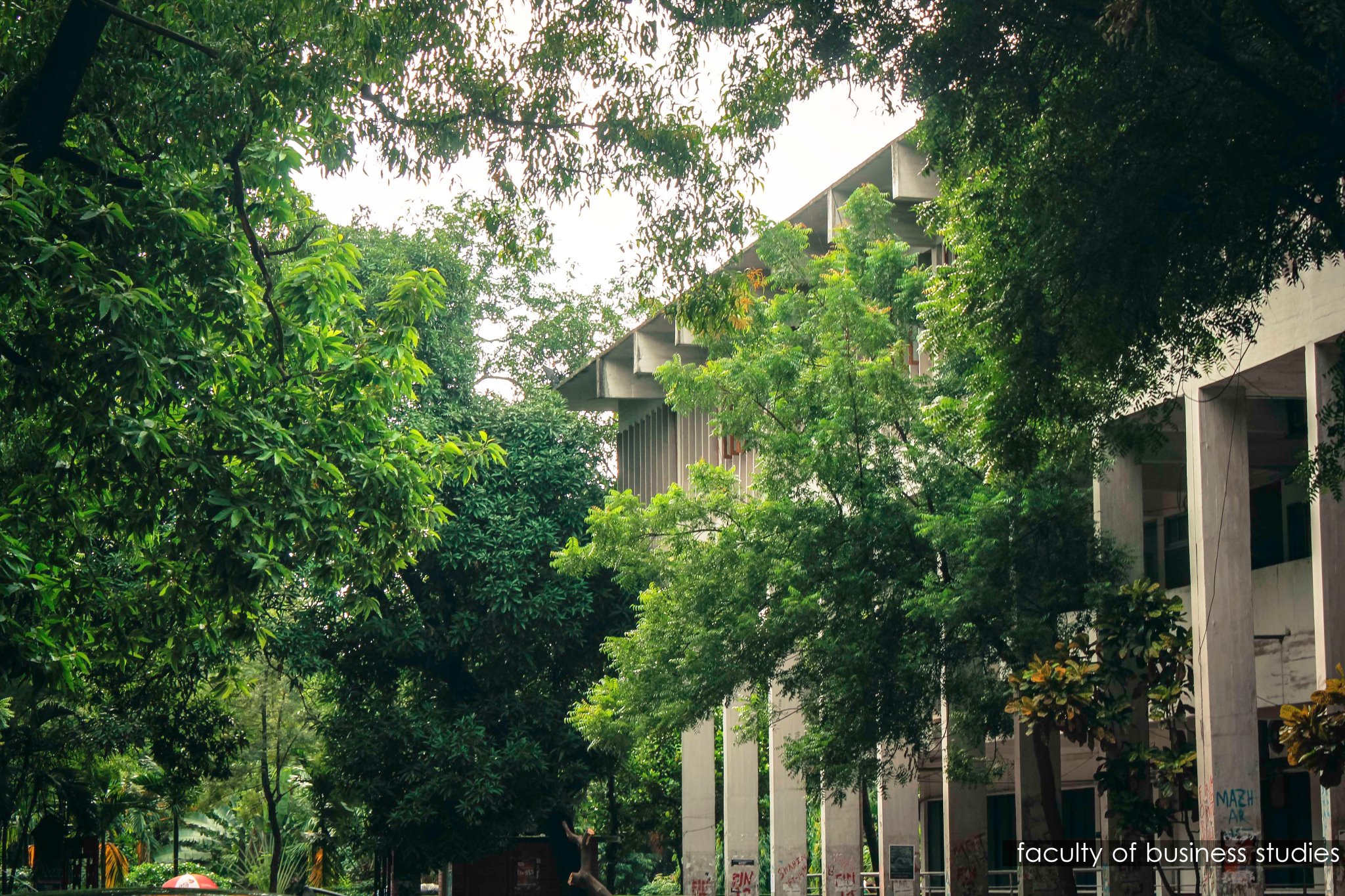 Dhaka University Faculty of Business Studies